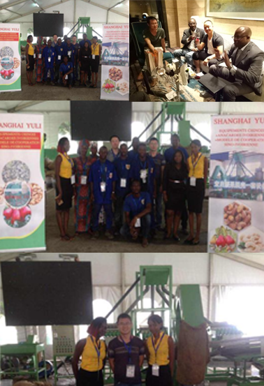 Complete Cashew Processing Solutions